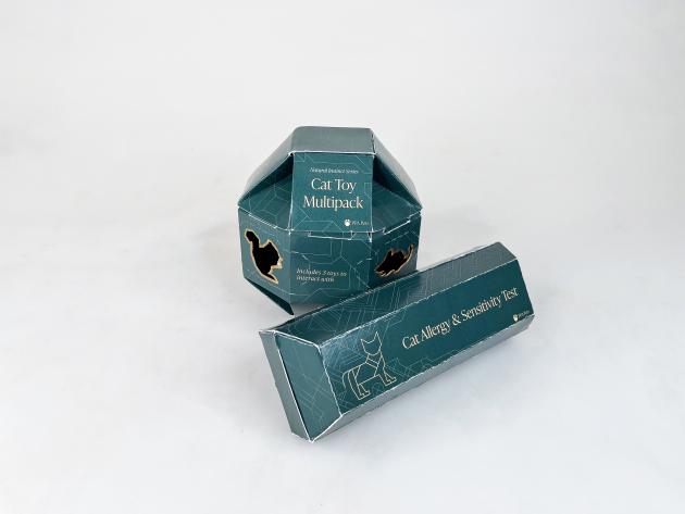 Rochester Institute of Technology's Carton Crusaders prototype