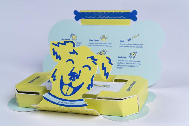 University of Wisconsin - Stout's Packaging Pups: Innovative Pet Care Solutions prototype