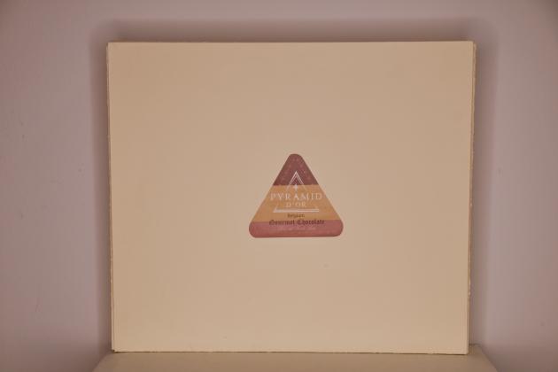 University of Wisconsin-Stout's PYRAMID D'OR CONFECTIONARY Prototype
